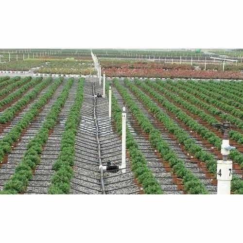 Drip Irrigation System