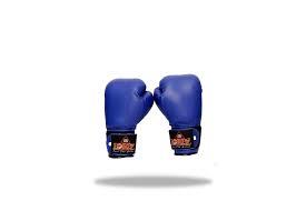 leather boxing gloves