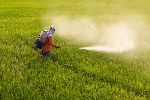 Organic Fertilizers