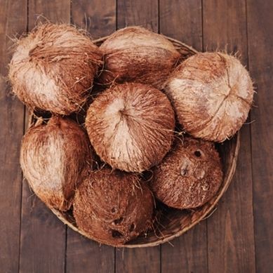 Ben Tre Coconut