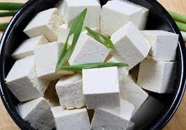 Fresh Tofu