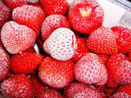 Frozen Strawberry - Superior Quality Frozen Berries | Ideal for Milkshakes, Ice Cream, Smoothies