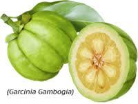 Garcinia Cambogia Extract