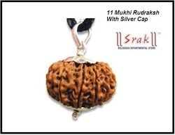 11 Mukhi Rudraksha Locket (N)