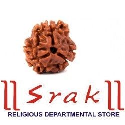 3 Mukhi Rudraksha Nepali