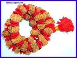 5 Mukhi Rudraksha Kantha Mala