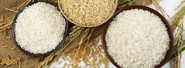 Organic Basmati Sella Rice