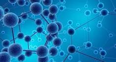 Molecular Biology Reagents 