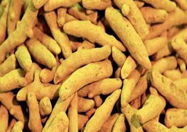 Turmeric Finger