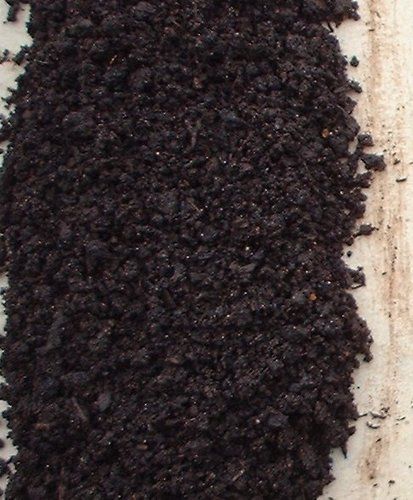 High Grade Vermicompost