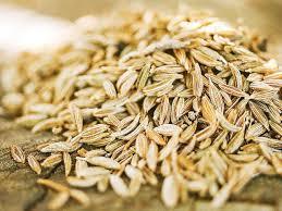 Jeera (Cumin) Seed