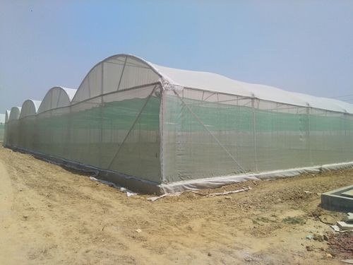HDPE Insect Net