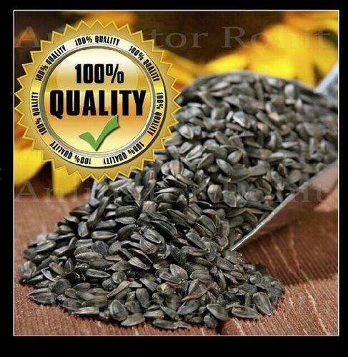 Black Sunflower Seeds