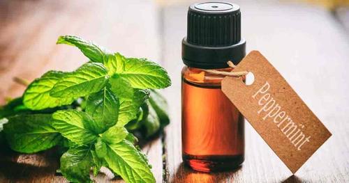 Dementholised Mint Oil IP, BP - AOS Products Manufacturer