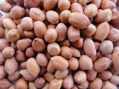 Premium Groundnuts By VACMEL NIGERIA LIMITED