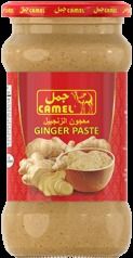 Ginger Paste - Pure Premium Quality