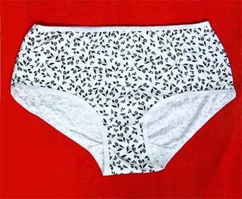 Women Undergarments Fairlady at Rs 40/piece, Ladies Panties in Kochi