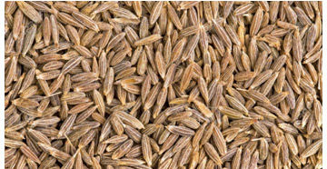 Cumin Seeds