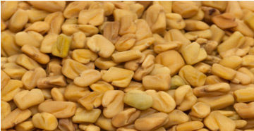 Fenugreek Seed