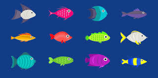 Fish Consultant Services By Xefarm Social Networking Pvt. Ltd.