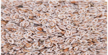 Psyllium Seeds