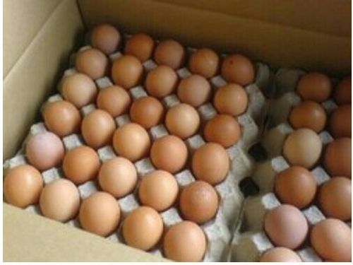 Pure Country Chicken Eggs