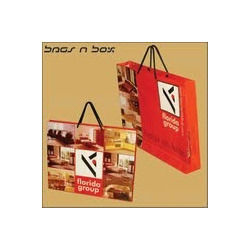 Corporate Promotional Bags