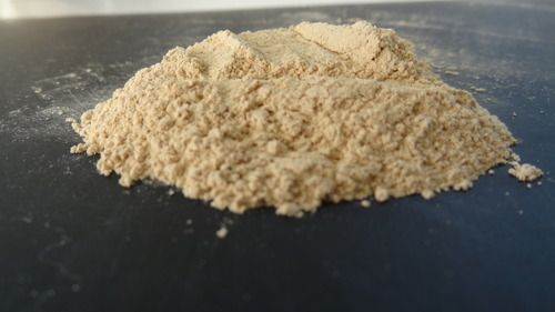 Dehydrated Garlic Spice Powder