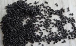 Black Sesame Seed