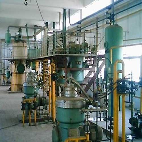 Edible Oil Plant 