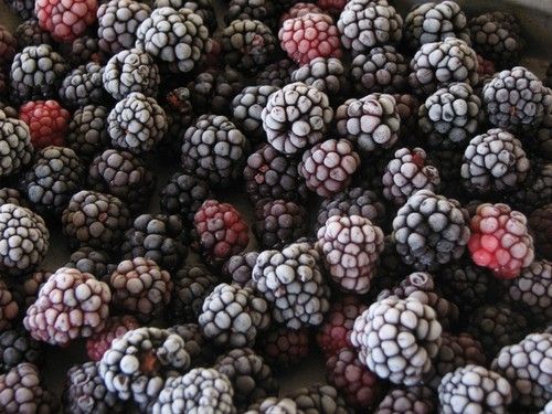 Frozen Blackberries