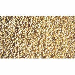 Natural Sesame Seeds