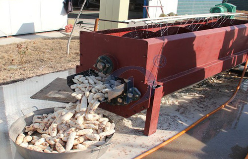 Cassava Peeler Machine