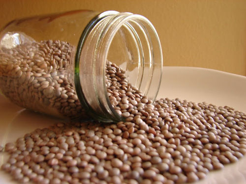 Lentil/Masoor Dal