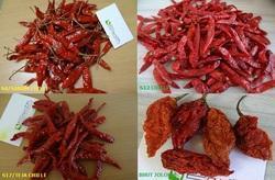 Pure Dry Red Pepper