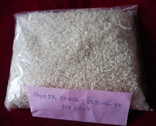 Vietnam White Rice 5% Broken