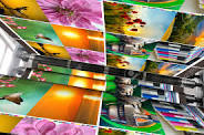 Offset Printing Service