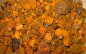 Ox Gallstone (90% Whole Stones / 10% Broken)