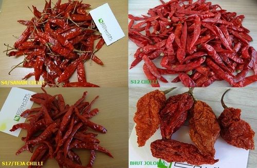 red chilli