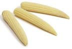 Baby Corn