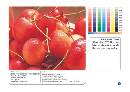 Backlit PET Film - PET Film Base with Pressure-Sensitive Adhesive, Suitable for Dye & Pigment Ink, Available in Various Thicknesses