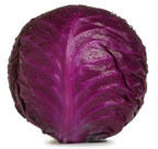 Red Cabbage - Rich Source of Flavonoids, Antioxidant-Rich Vitamin C - Dark Red/Purple Leaves Perfect for Salads and Coleslaw