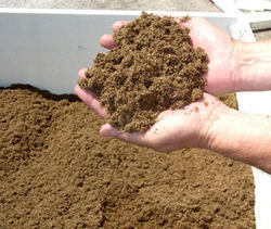 Peat Moss