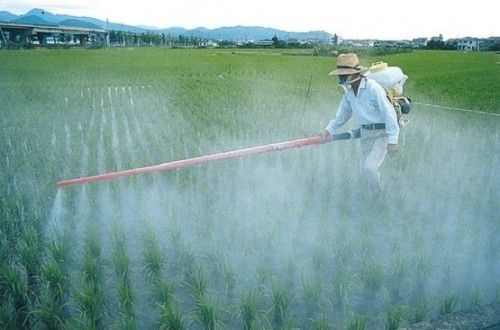 Pesticide And Insecticide