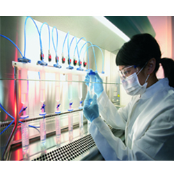 Cetrizine Intermediate