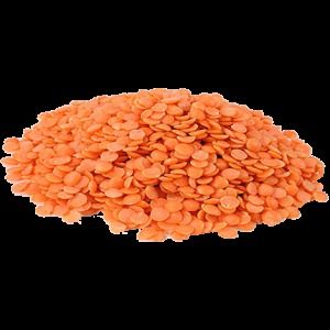 Red Lentil