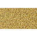 Durum Wheat Seed