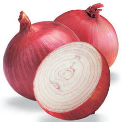 Indian Red Onion