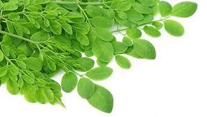 Moringa Masala Tea Grade: Premium