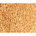 Natural Wheat Grain